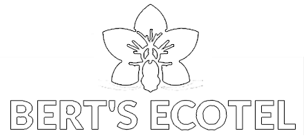 Bert's Ecotel in Cebu